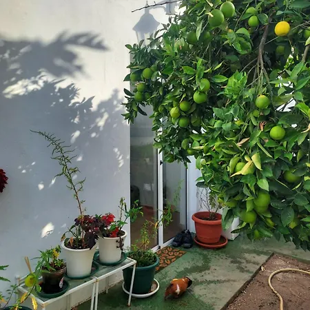 Loft Con Vistas Al Mar Y Ciudad 公寓 *