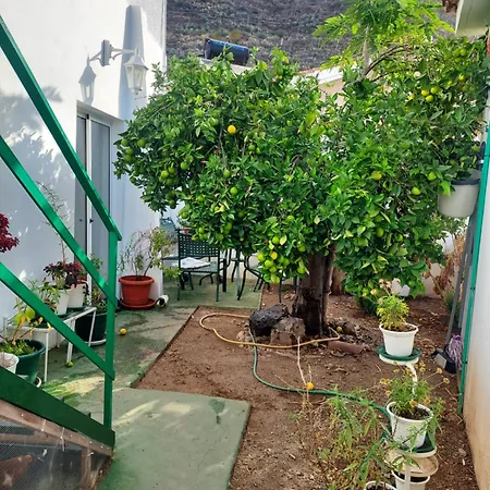 Guest Loft With Parking Santa Cruz de Tenerife