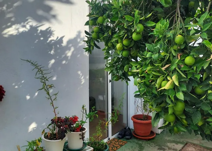 Loft Con Vistas Al Mar Y Ciudad Appartement *