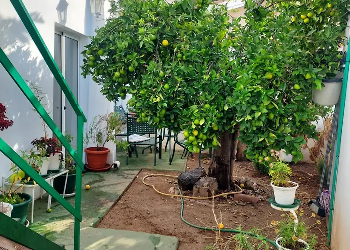 Loft Con Vistas Al Mar Y Ciudad Santa-Cruz de Ténérife